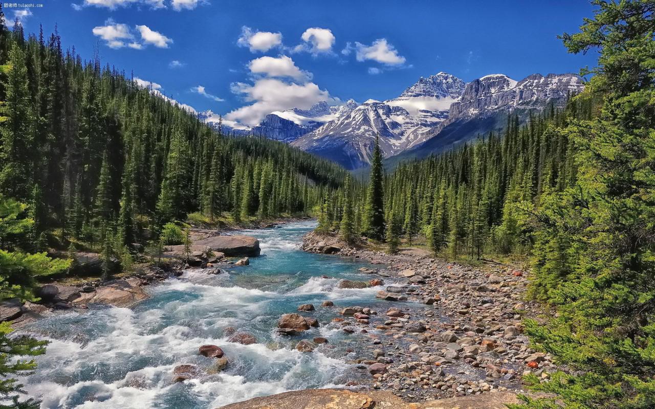 Природа Канады | Dima Garizov | Дзен